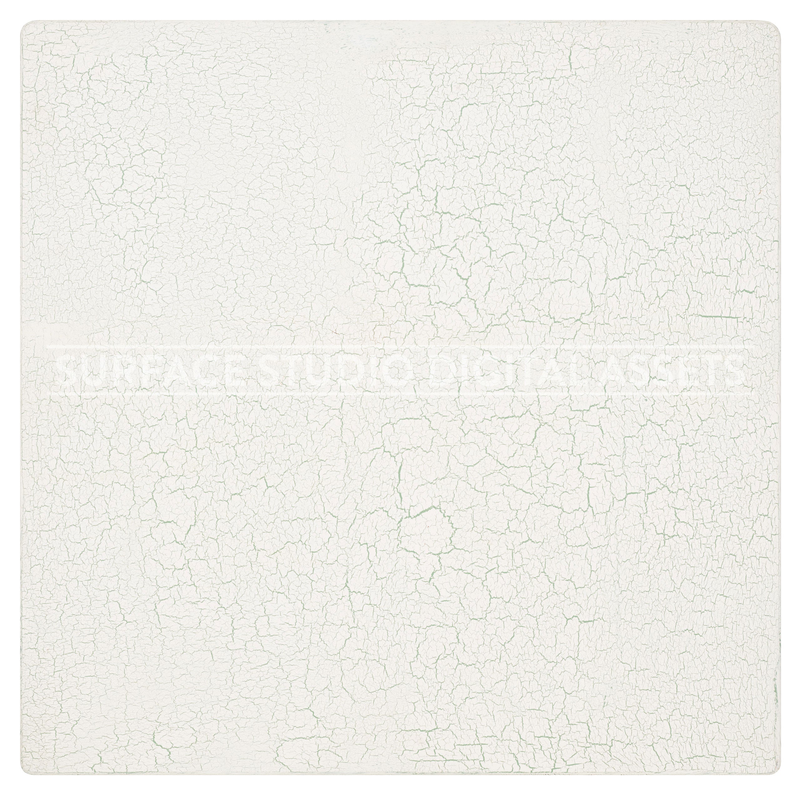 White Over Green Crackle Wood Surface background stock image with a "Surface Studio Digital Assets" watermark for commercial, e-commerce, editorial, product, beauty, food, beverage, still life photography.