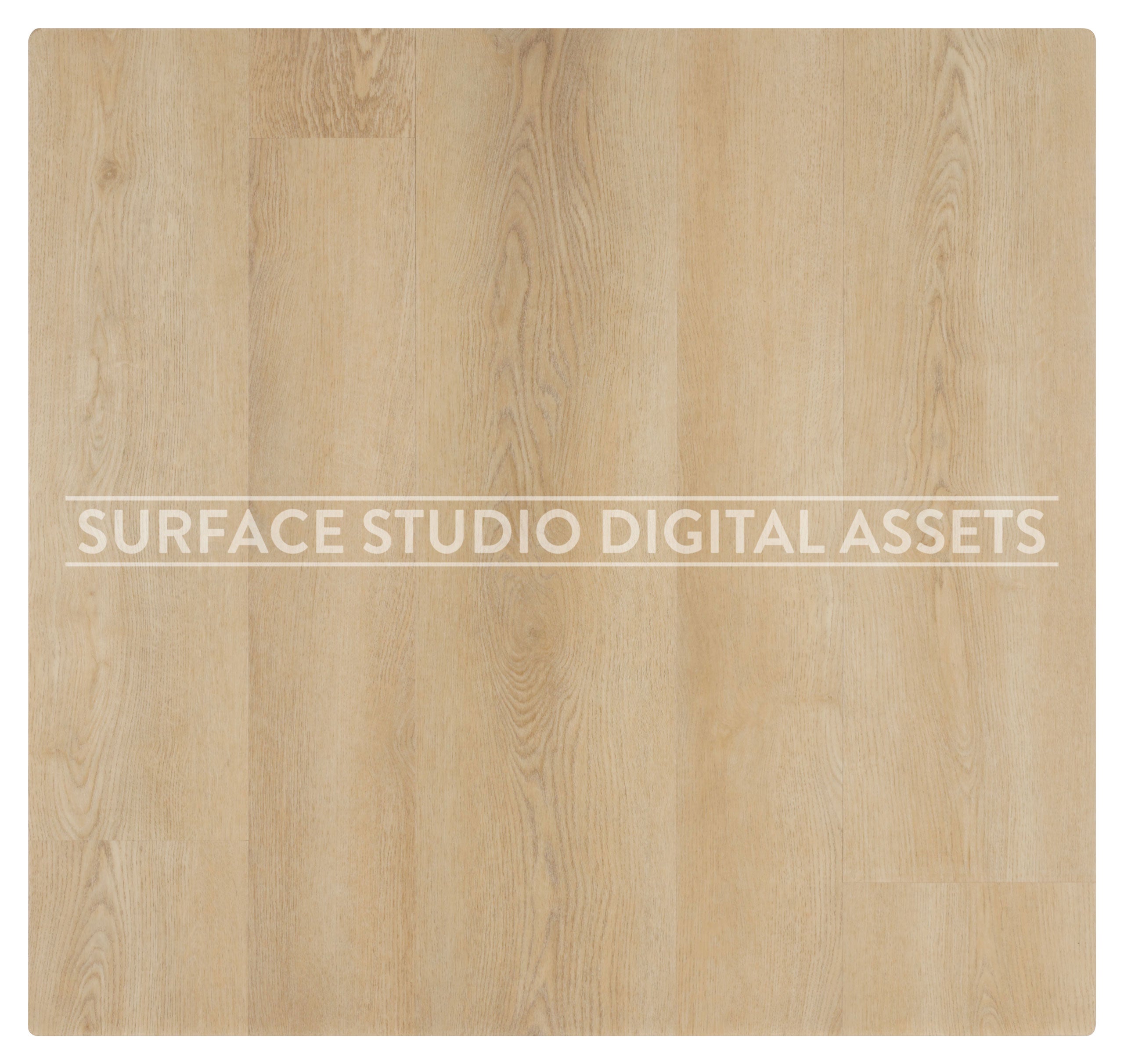Bleached Birch Wood Surface background stock image with a "Surface Studio Digital Assets" watermark for commercial, e-commerce, editorial, product, beauty, food, beverage, still life photography.