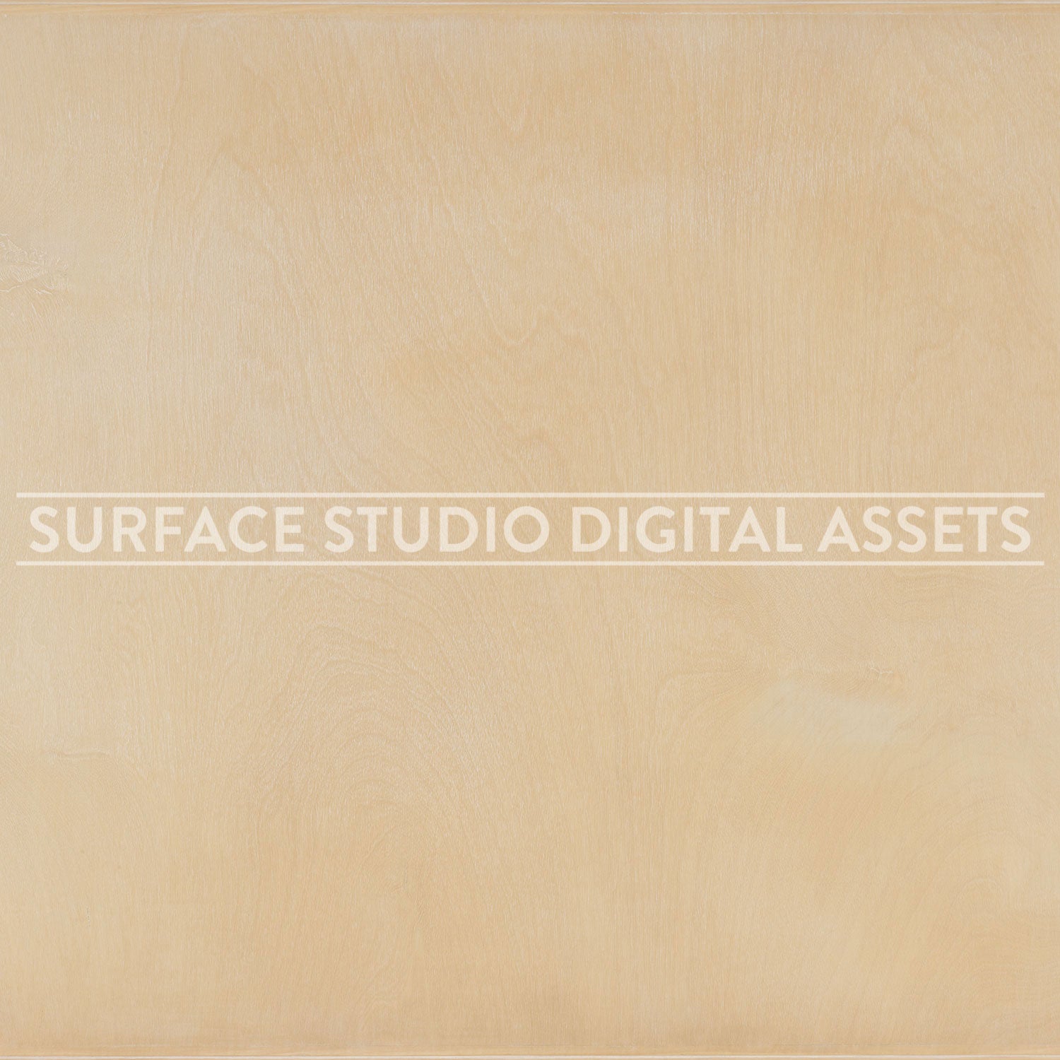 Bleached Birch Wood Surface background stock image with a "Surface Studio Digital Assets" watermark for commercial, e-commerce, editorial, product, beauty, food, beverage, still life photography.