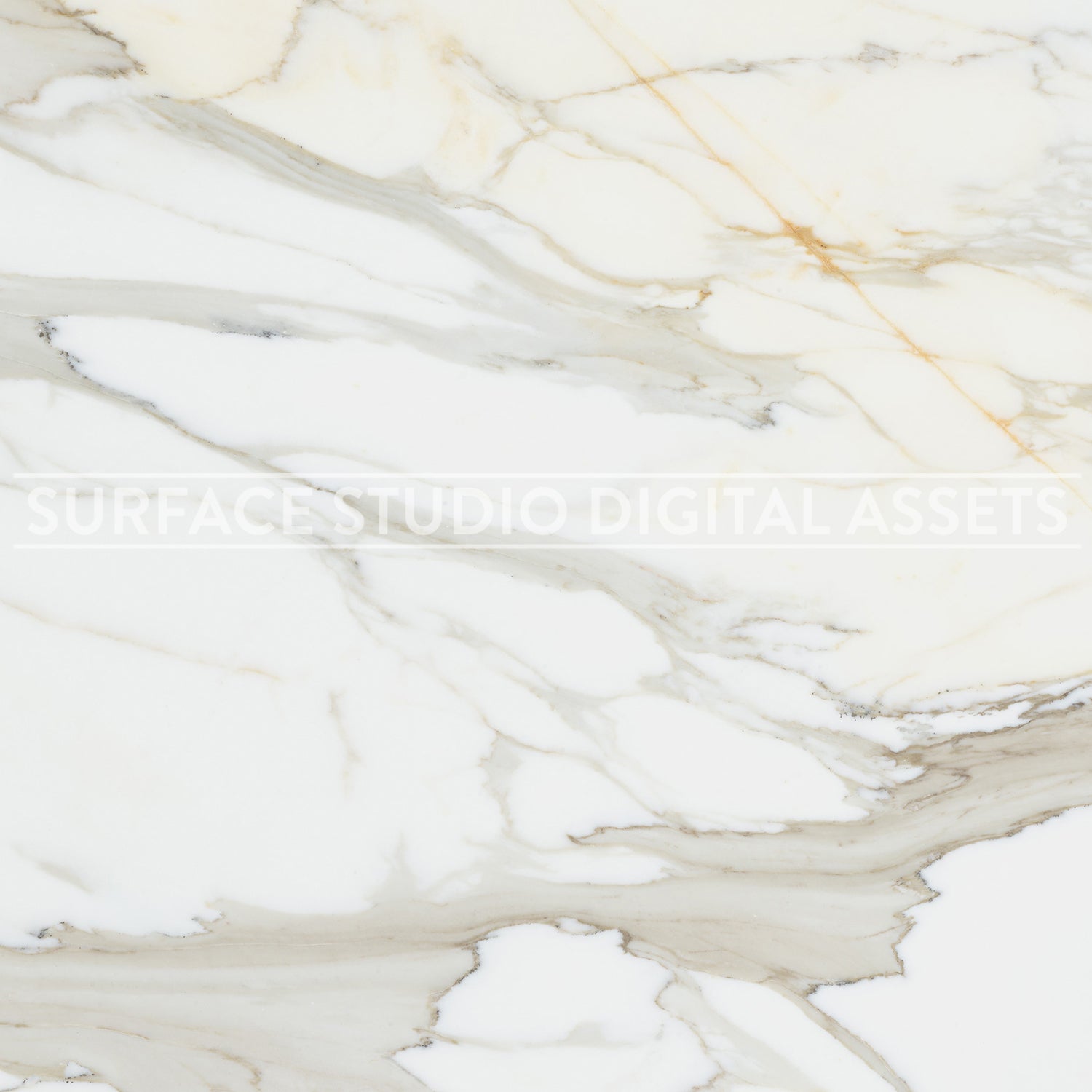 White Mutli-Color Veining Calacatta Borghese Marble Surface photographed directly from above 