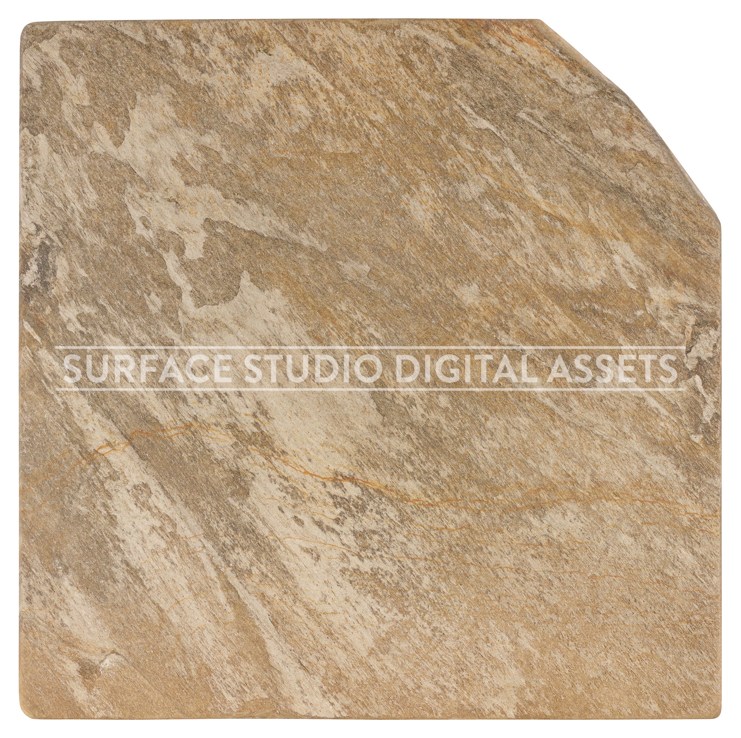 Natural Beige Oyster Slate Surface photographed directly from above including edges.