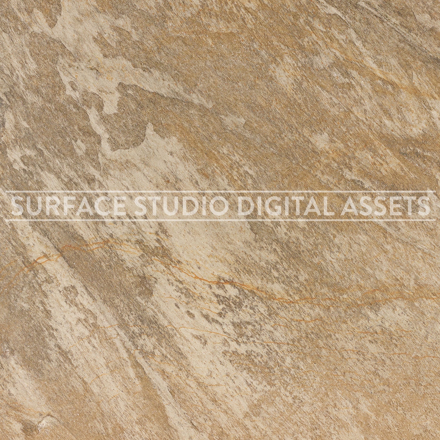 Natural Beige Oyster Slate Surface photographed directly from above