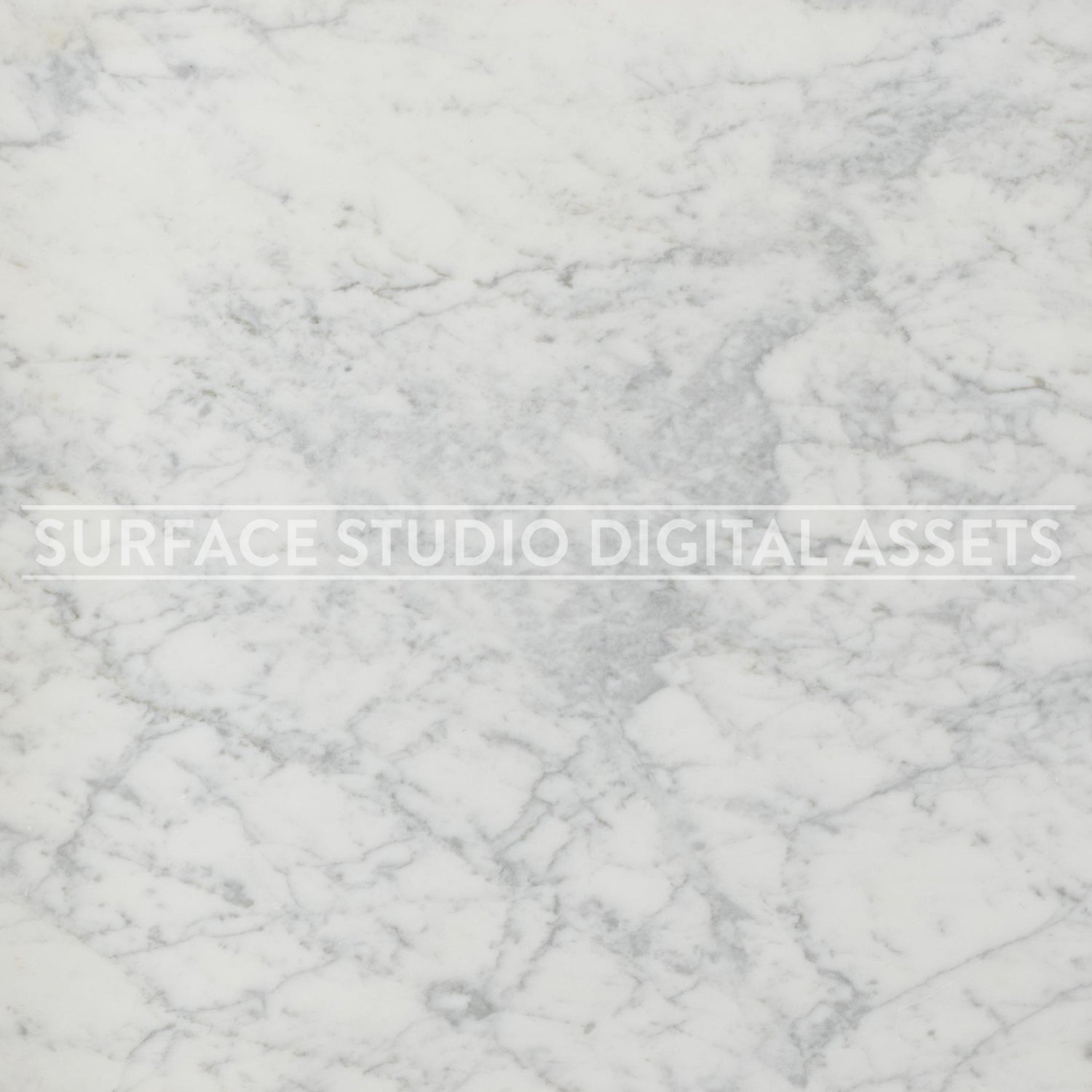 White Platinum Grey Veining Gioia Marble Surface photographed directly from above