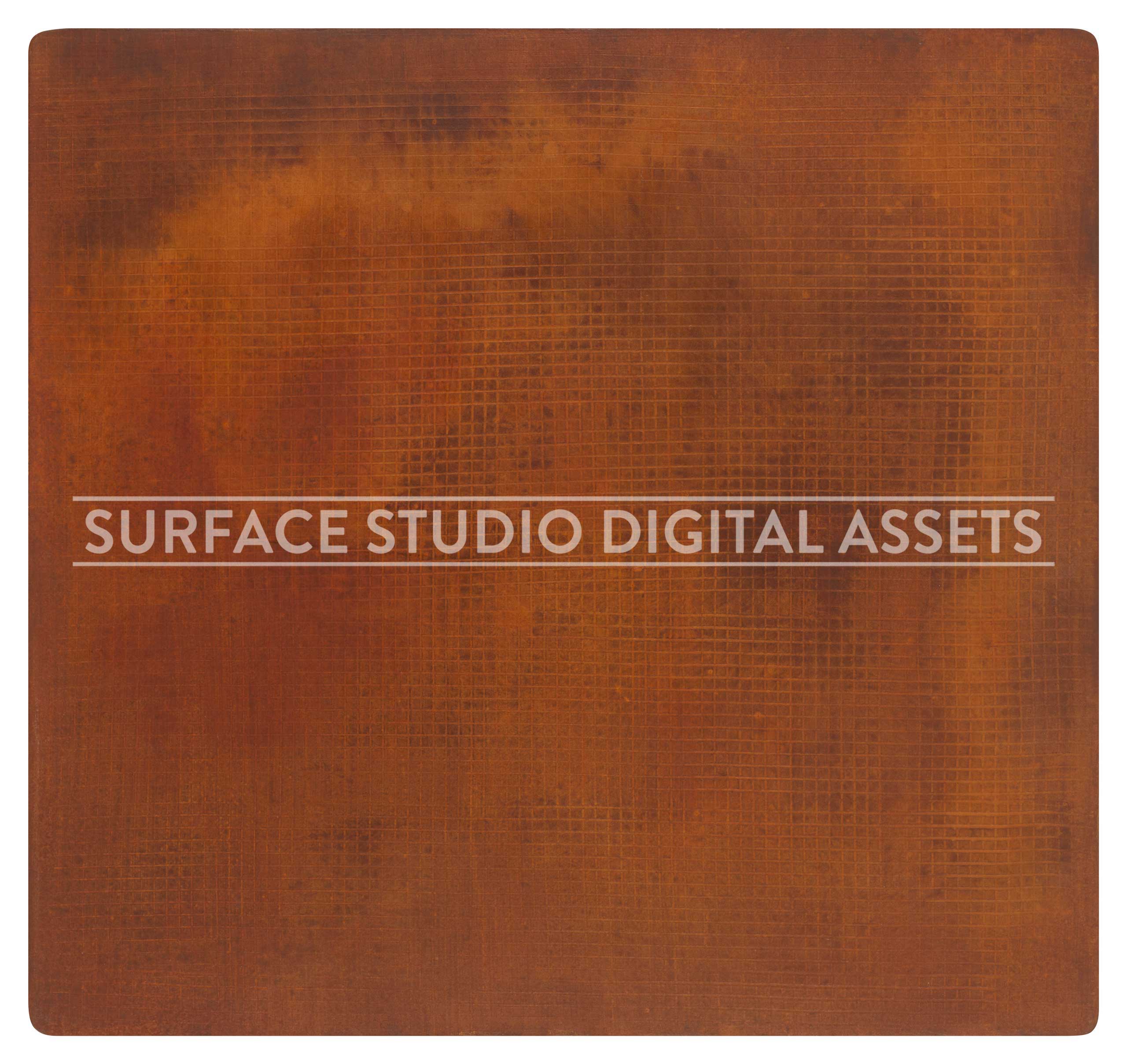 Rusty grid Metal Surface photographed directly from above including edges